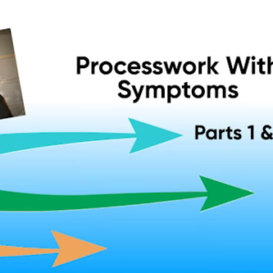 Process Work with Symptoms - PART 1 & 2